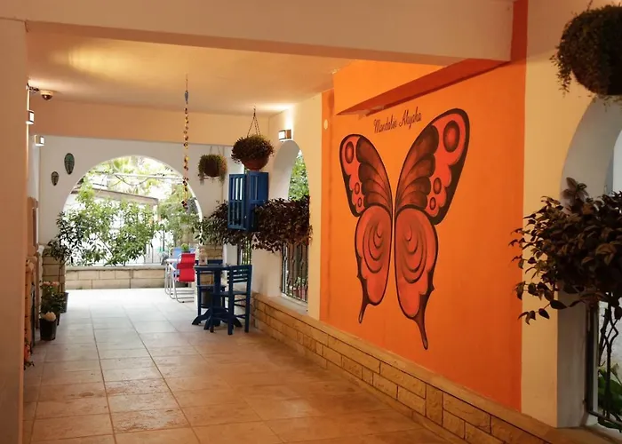 Mandalin Akyaka (Mugla)